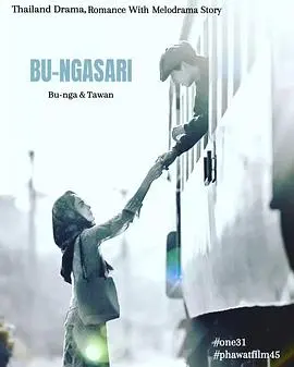 《垂花琴木》：一段关于爱与救赎的感人故事，在琴声中寻找生命的真谛