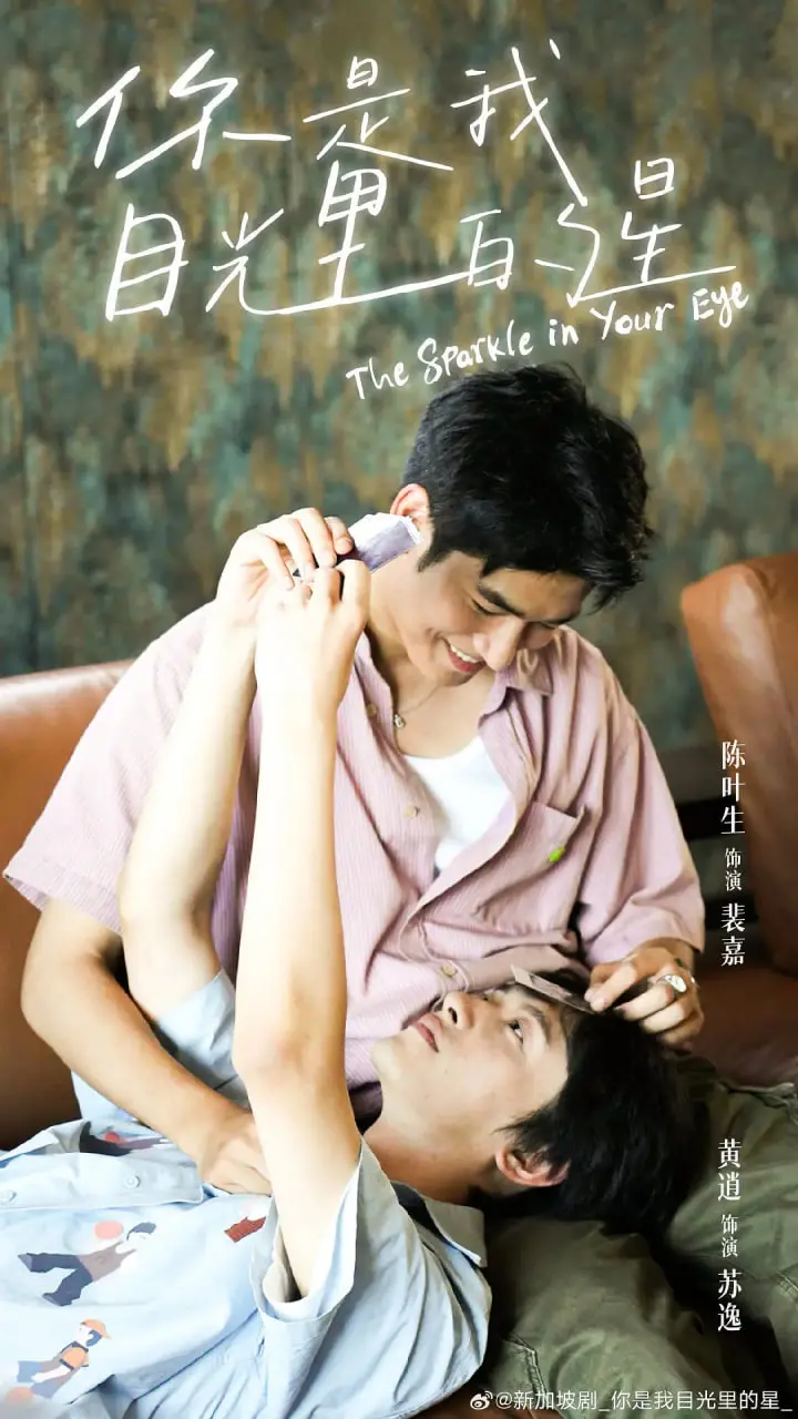 《你是我目光里的星》：一场跨越星河的爱恋，在平凡中闪耀的浪漫童话