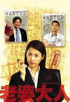 《老婆大人 粤语版》：家庭喜剧的温馨解构，现代婚姻中的爱情与成长